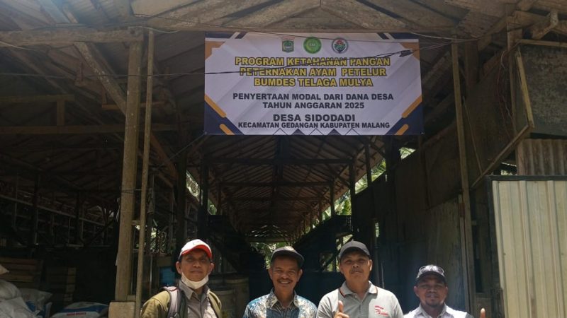 BUMDesa Telaga Mulya Kembangkan Budidaya Ayam Petelur untuk Ketahanan Pangan dan Perekonomian Desa