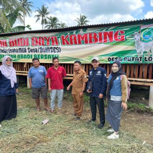 BUMDesa Berkah Abadi Bersatu Genjot Ketahanan Pangan Lewat Program Penggemukan Kambing