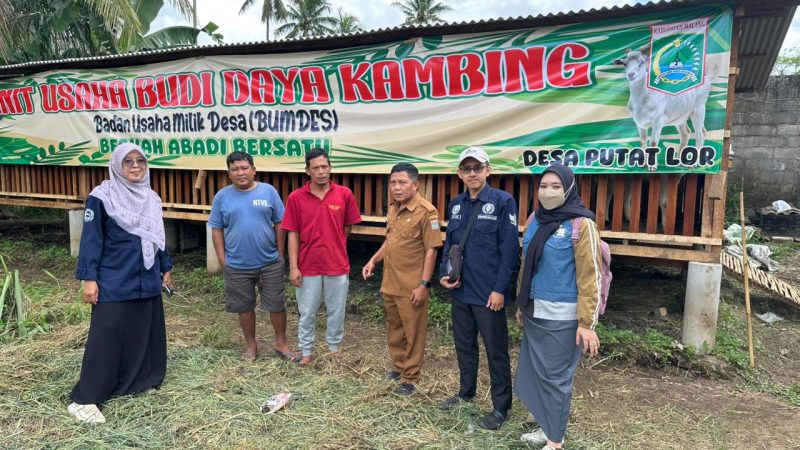 BUMDesa Berkah Abadi Bersatu Genjot Ketahanan Pangan Lewat Program Penggemukan Kambing