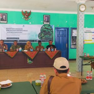 Rp306 Juta Dana Desa untuk Ketahanan Pangan, Begini Perkembangan Budidaya Edamame BUMDes Banjarejo