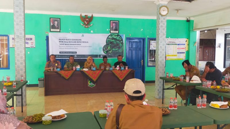 Rp306 Juta Dana Desa untuk Ketahanan Pangan, Begini Perkembangan Budidaya Edamame BUMDes Banjarejo